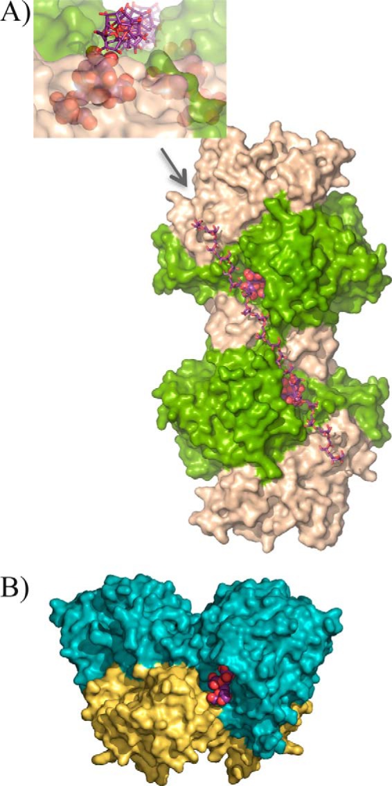 FIGURE 5.