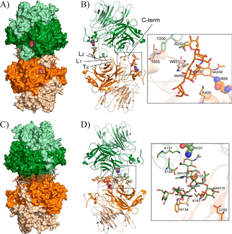 FIGURE 3.