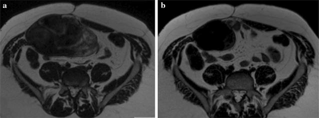 Fig. 3