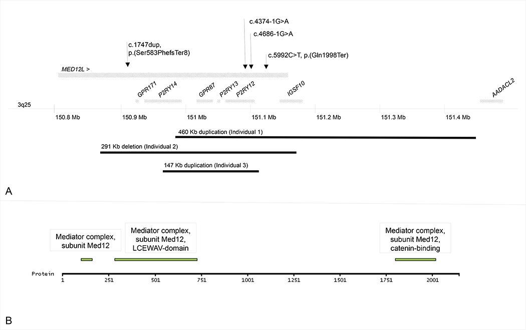 Figure 2: