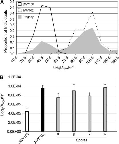 Figure 5.—