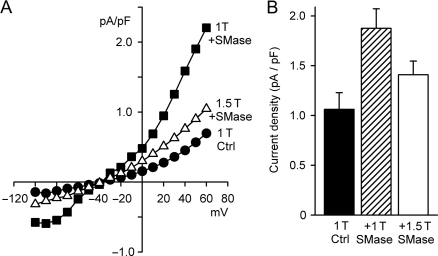 Figure 6