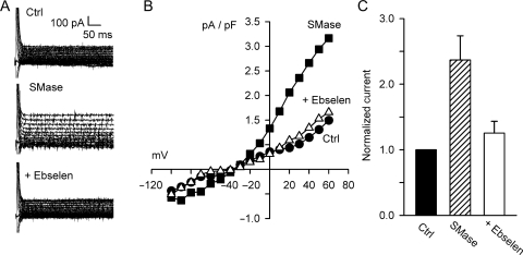 Figure 7