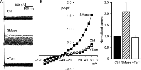 Figure 5