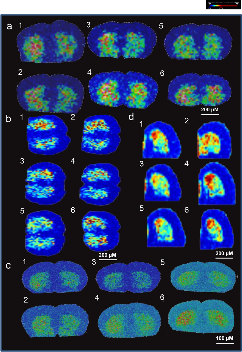 Fig. 6