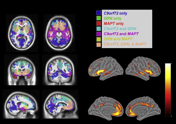 Fig. 2