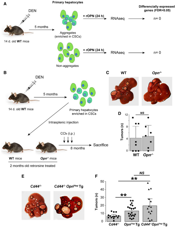 FIG. 7