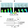 Figure 15.