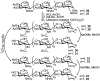 Scheme 6.