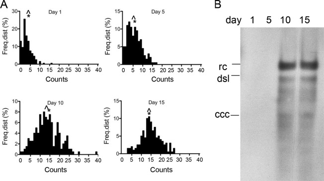 FIG 3