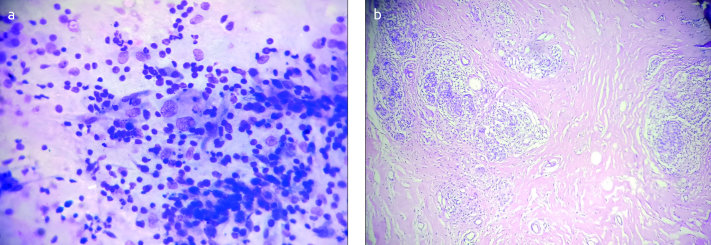 Figure 3. a, b