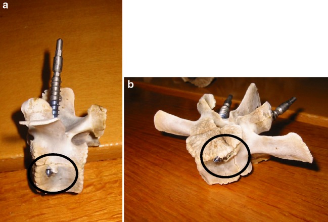 Fig. 2