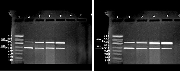 Fig.1