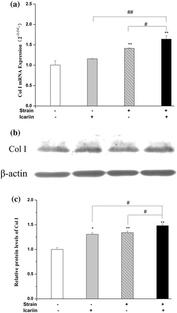 Figure 6