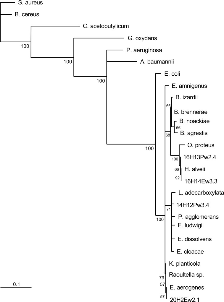 Fig 9