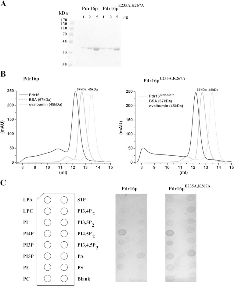 Fig. 3