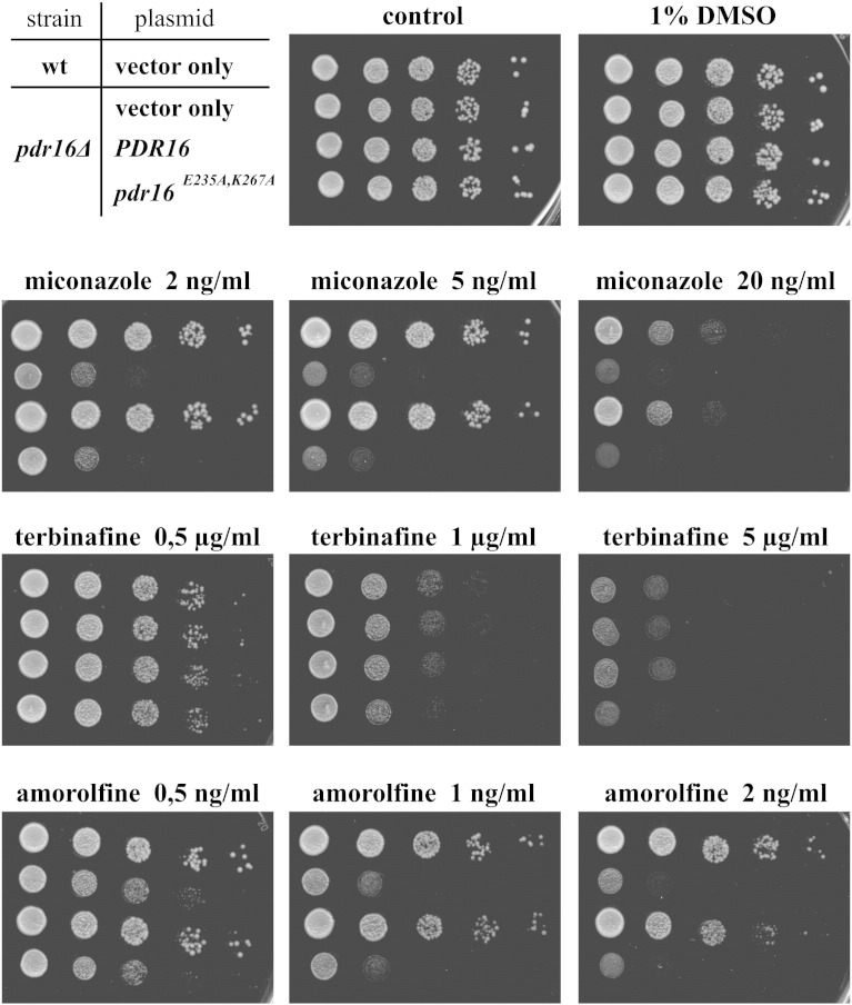 Fig. 4