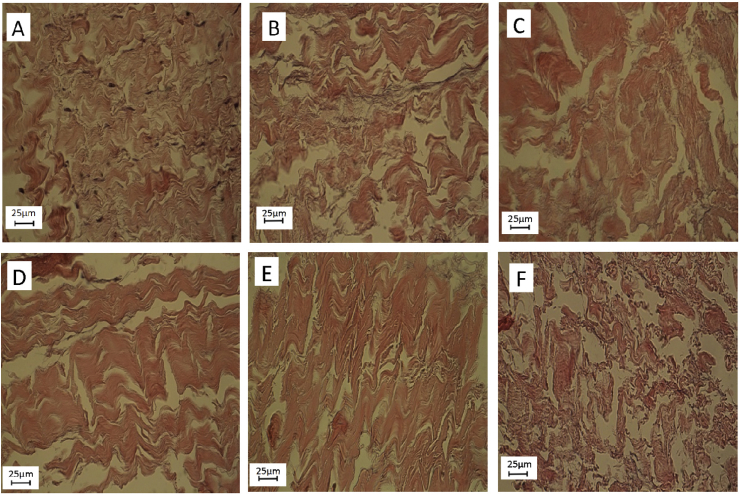 Fig. 6