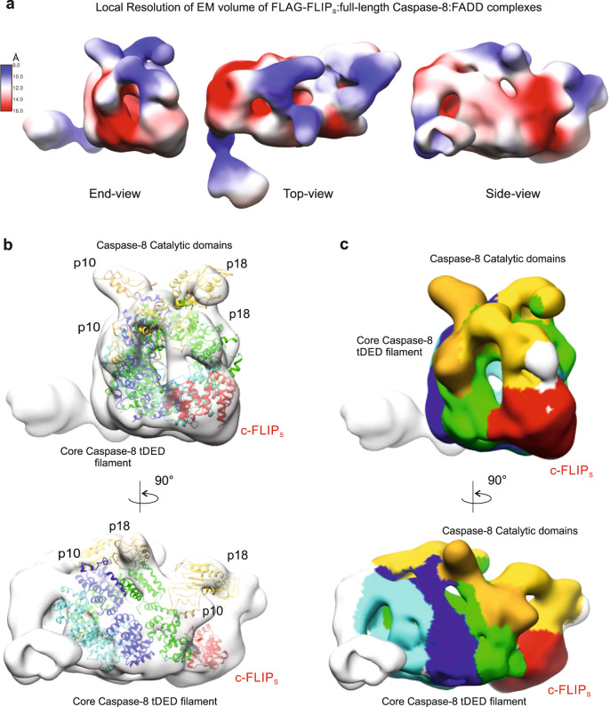 Fig. 7