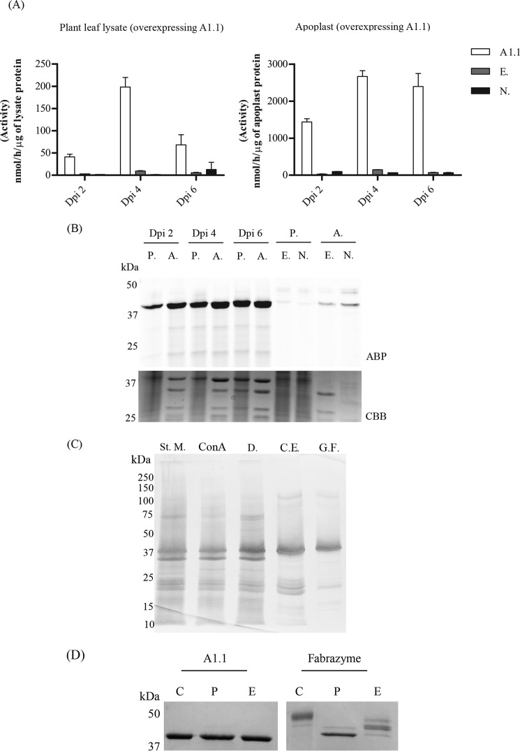 Figure 3.