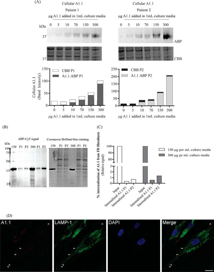 Figure 6.