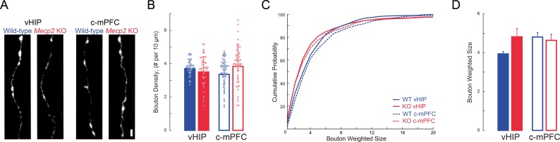 Figure 7—figure supplement 1.