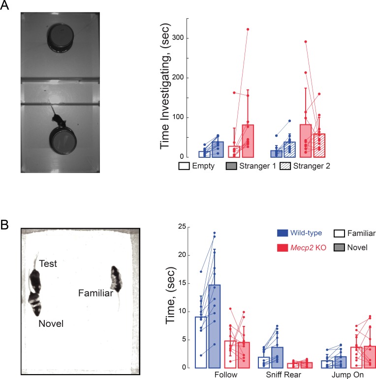 Figure 2—figure supplement 1.