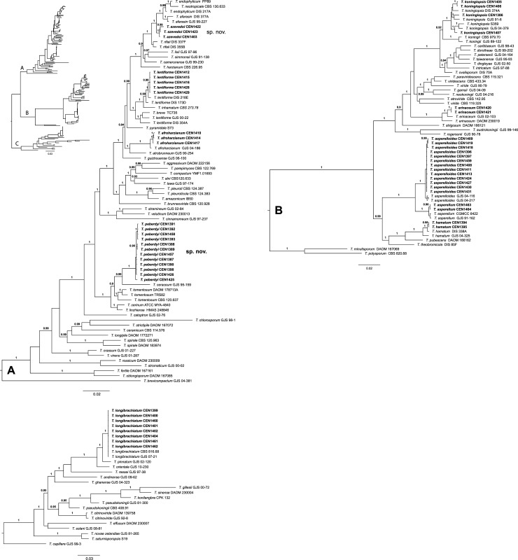 Fig 2