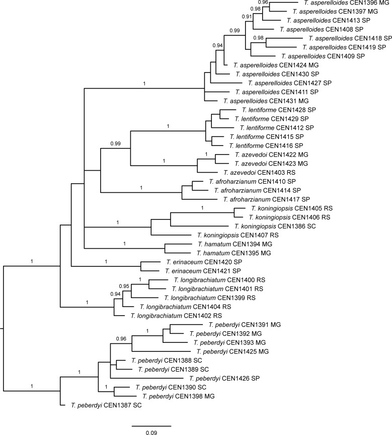 Fig 5