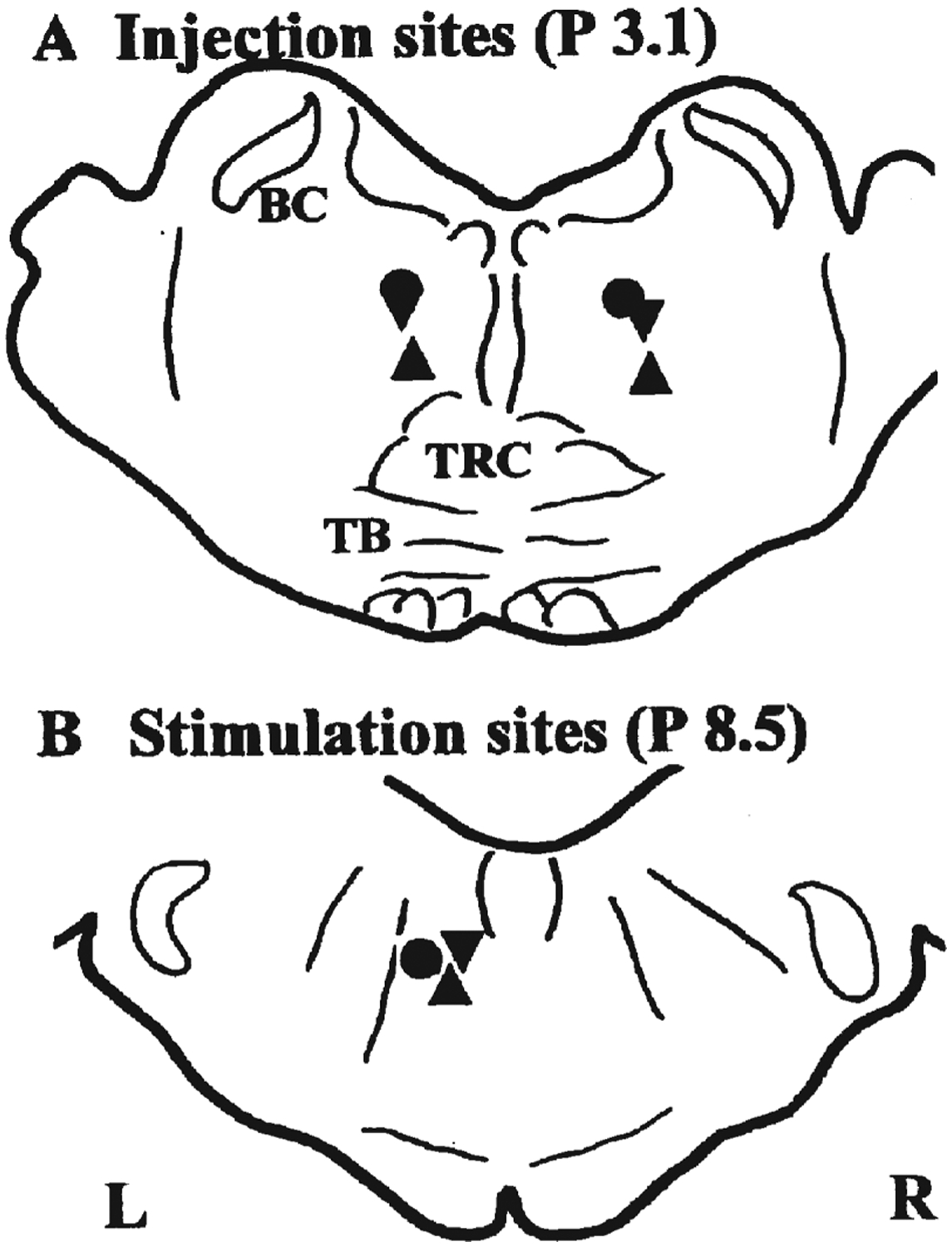 Figure 1.—