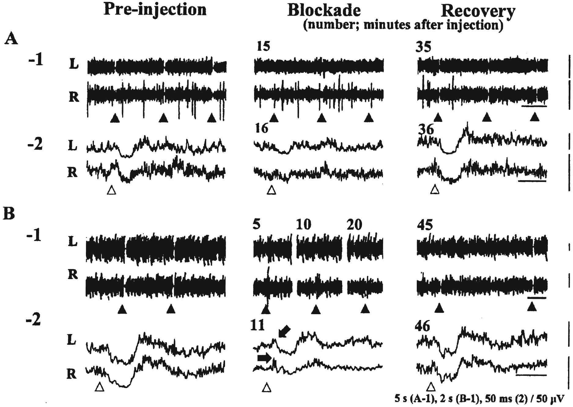 Figure 2.—