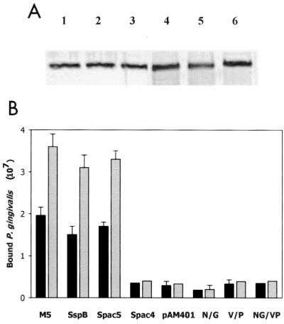 FIG. 5