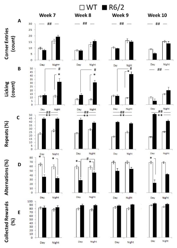 R6/2 behavioral measures as a function of genotype, age, and light cycle.