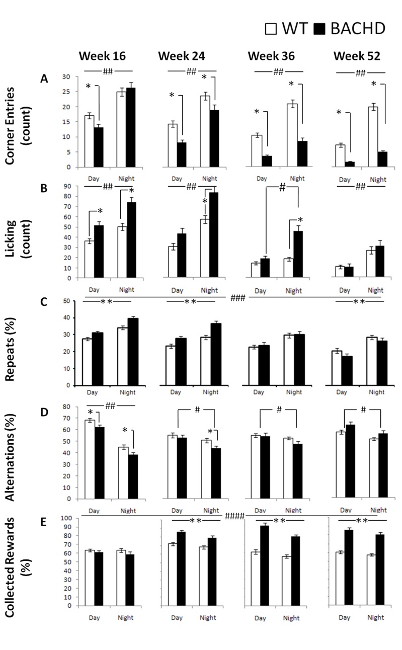 BACHD behavioral measures as a function of genotype, age, and light cycle.