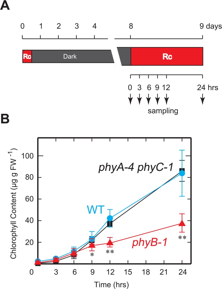 Fig 5