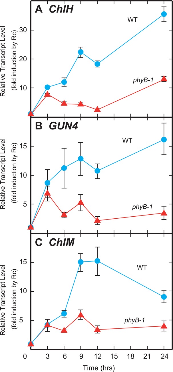 Fig 7