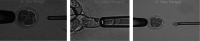 Fig.2