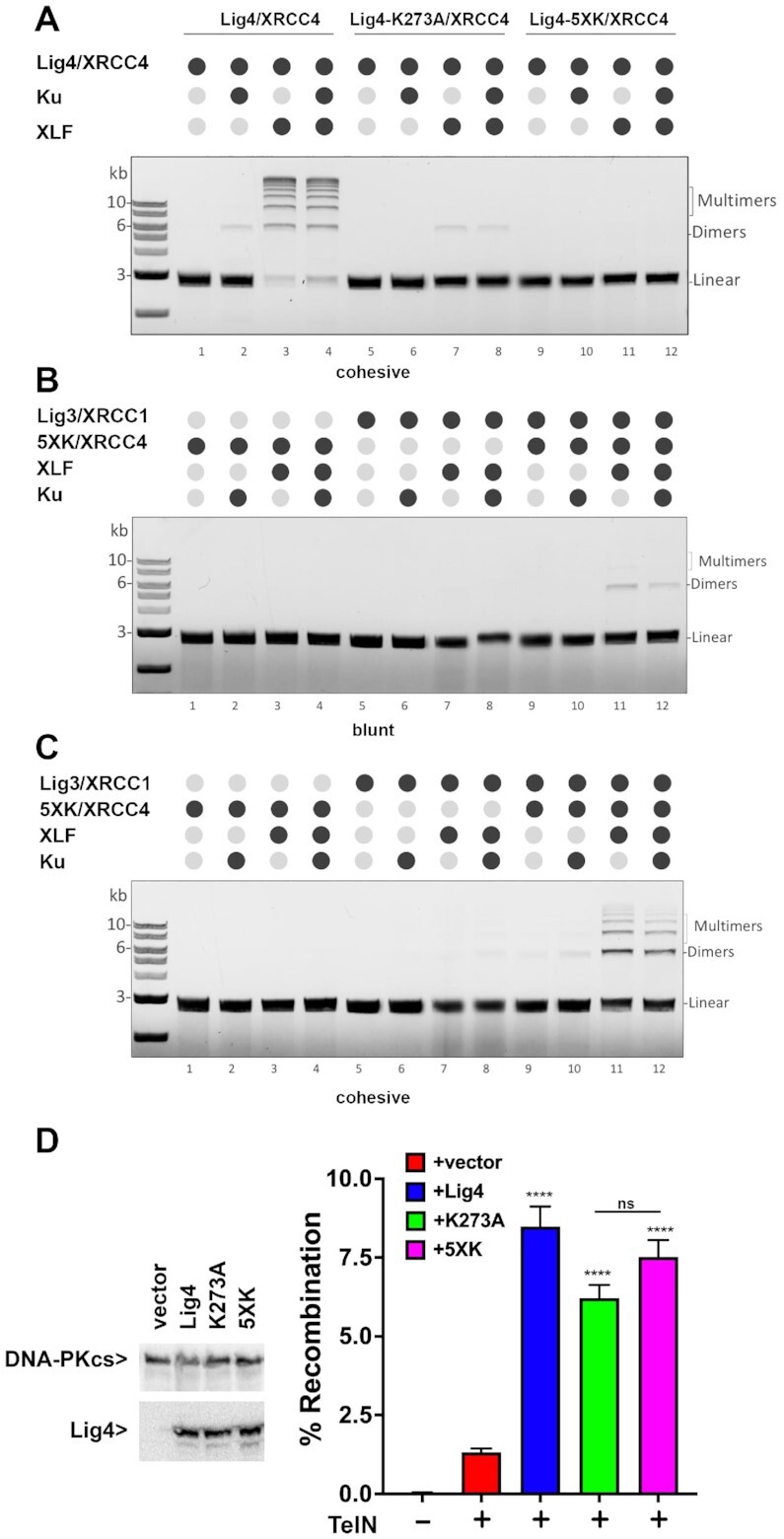 Figure 6.