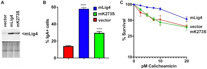 Figure 4.