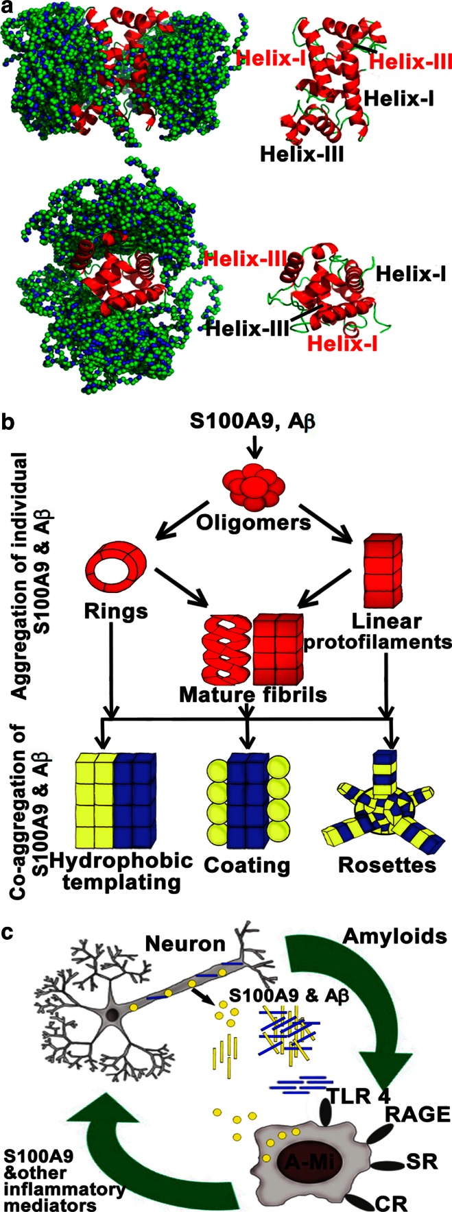 Fig. 8