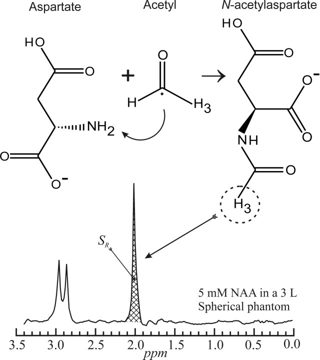 Fig 1.