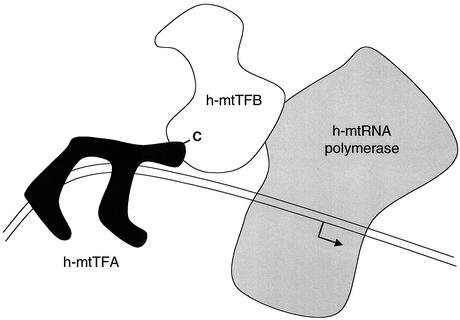 FIG. 6.