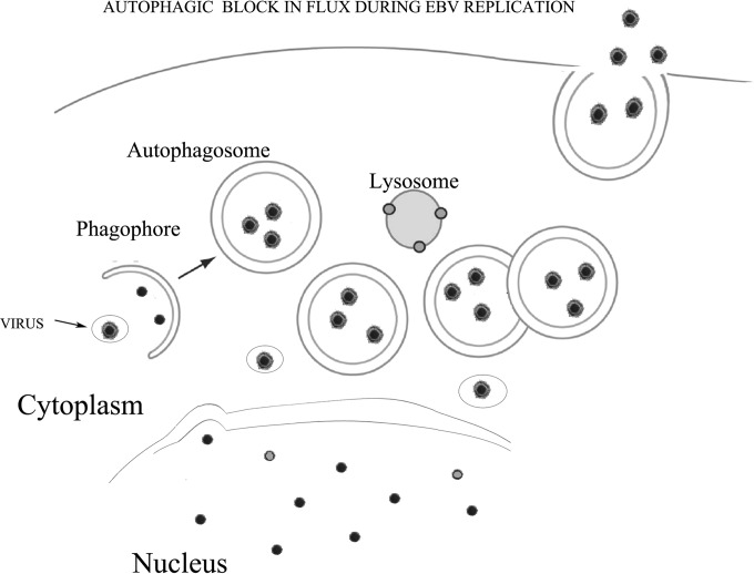 FIG 10