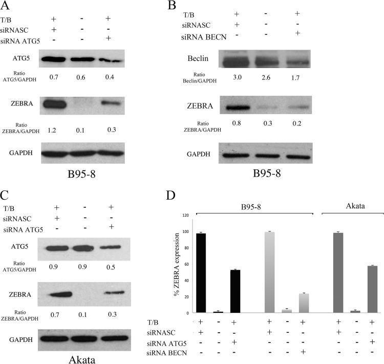 FIG 2