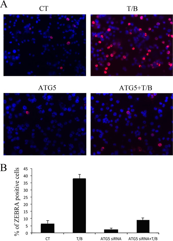 FIG 3