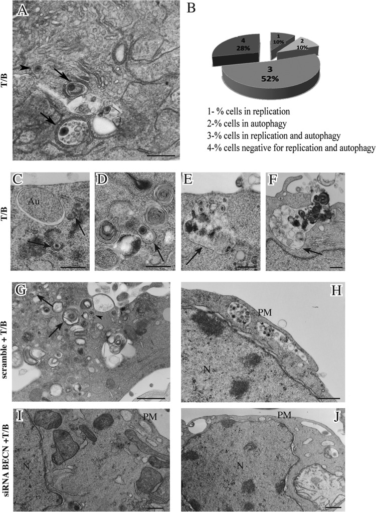 FIG 9