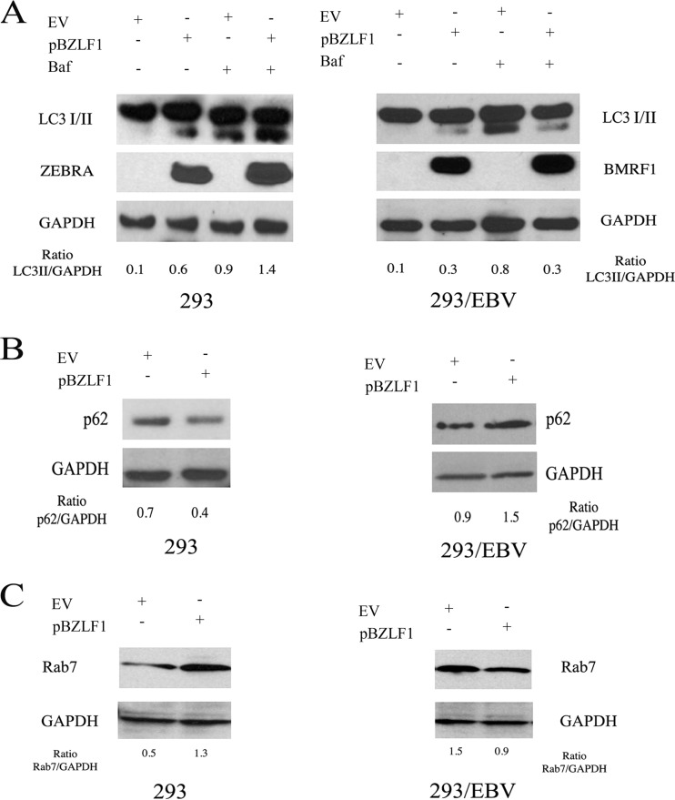 FIG 6