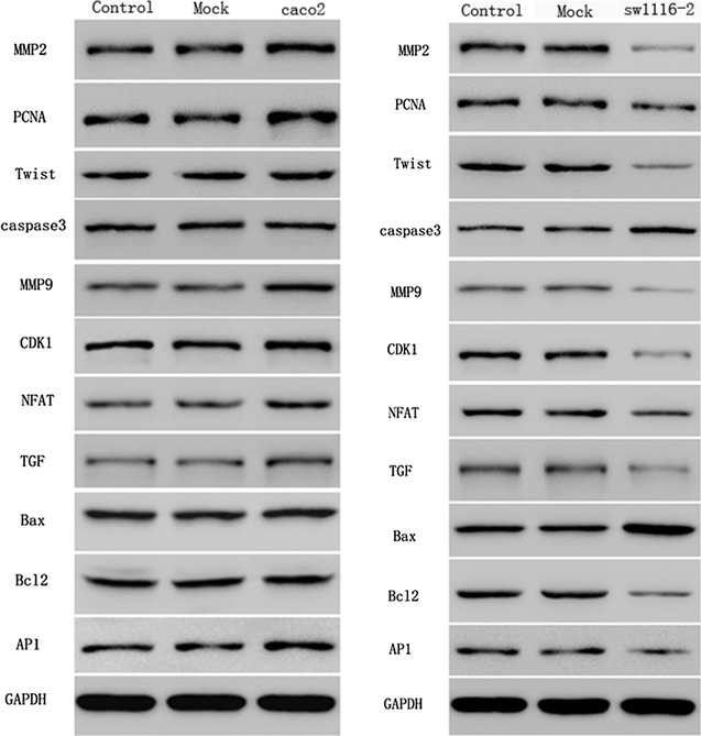 Fig. 8