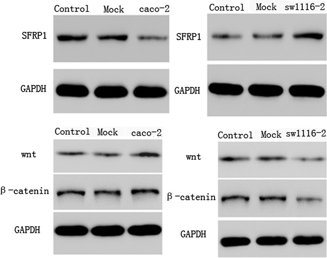 Fig. 7