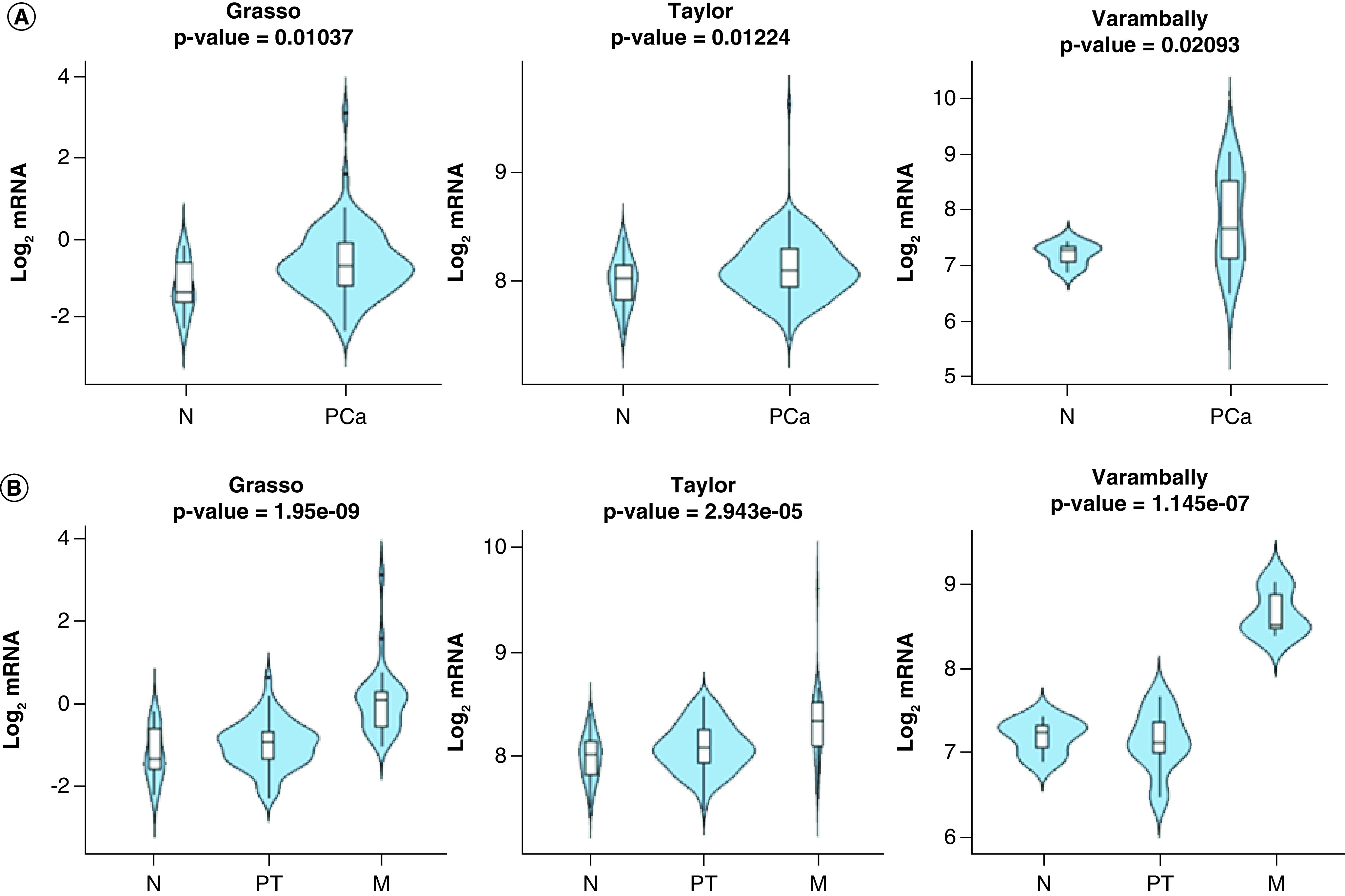 Figure 2. 